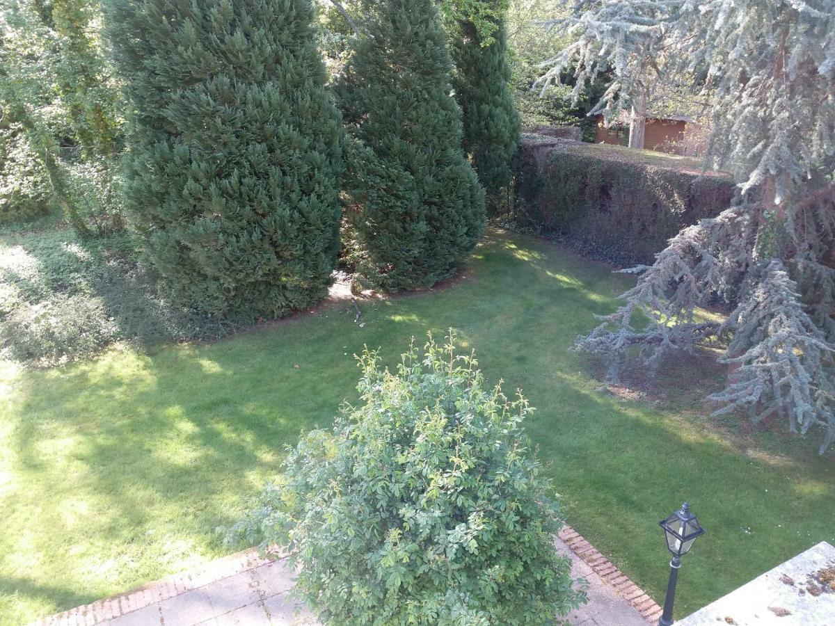 Belle Touquettoise En Foret *